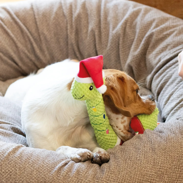 XMAS Dino 37cm