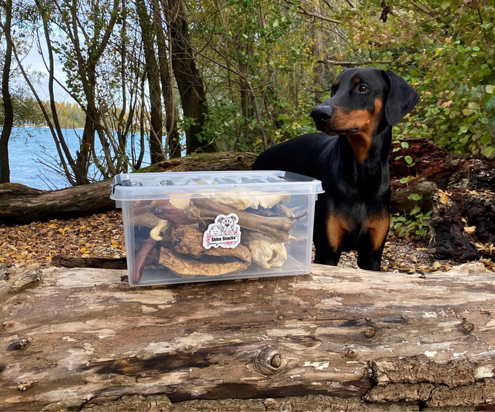 Aufbewahrungsbox mit Click Verschluss