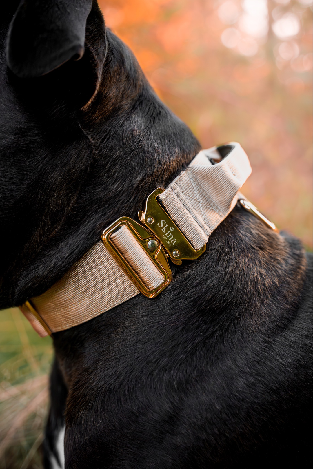 Taktisches Halsband mit Sicherheitsschnalle & Haltegriff „Beige“