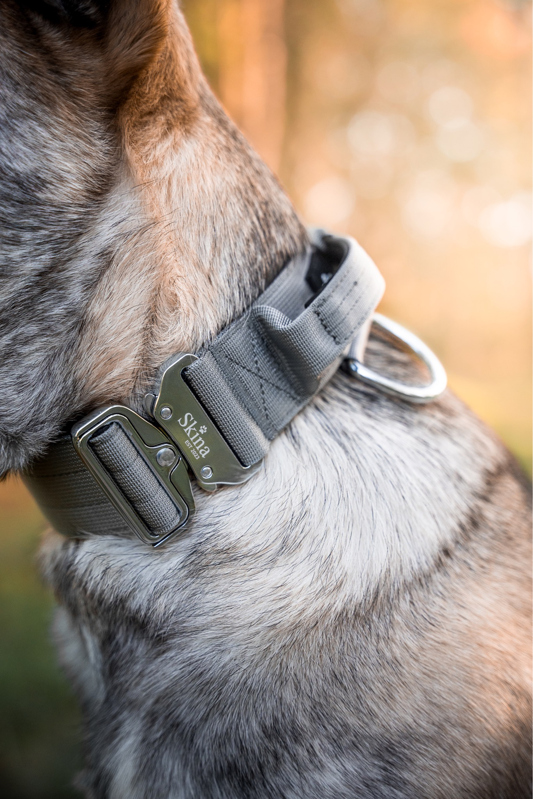 Taktisches Halsband mit Sicherheitsschnalle & Haltegriff „Grau“