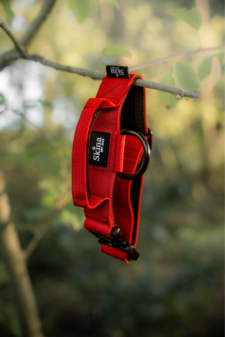 Taktisches Halsband mit Sicherheitsschnalle &amp; Haltegriff „Rot“