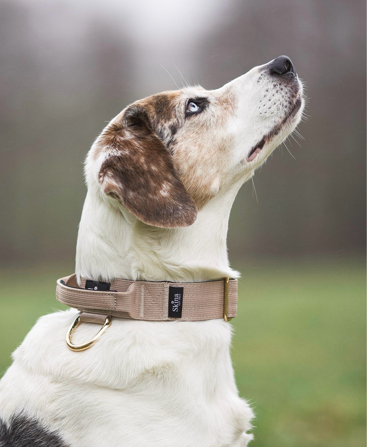 Taktisches Halsband mit Sicherheitsschnalle &amp; Haltegriff „Beige“