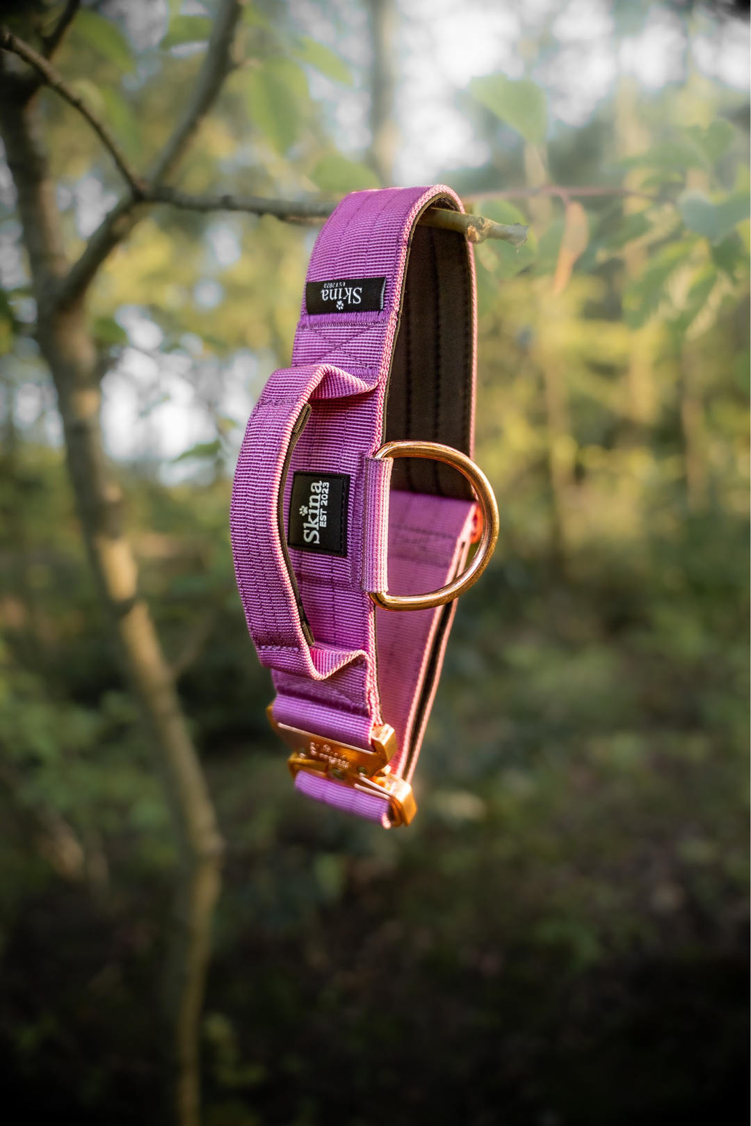 Taktisches Halsband mit Sicherheitsschnalle &amp; Haltegriff „Flieder“