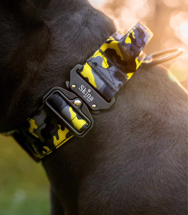 Taktisches Halsband mit Sicherheitsschnalle &amp; Haltegriff „Gelb Camouflage“