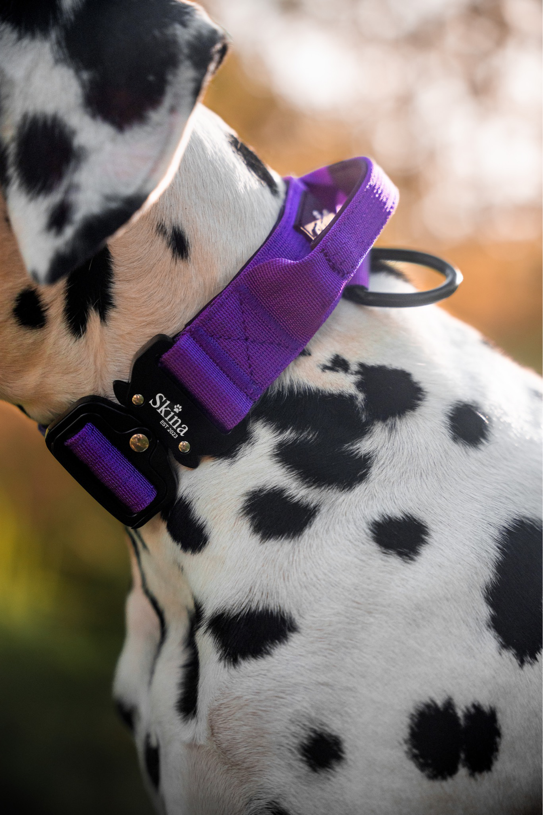 Taktisches Halsband mit Sicherheitsschnalle & Haltegriff „Lila“