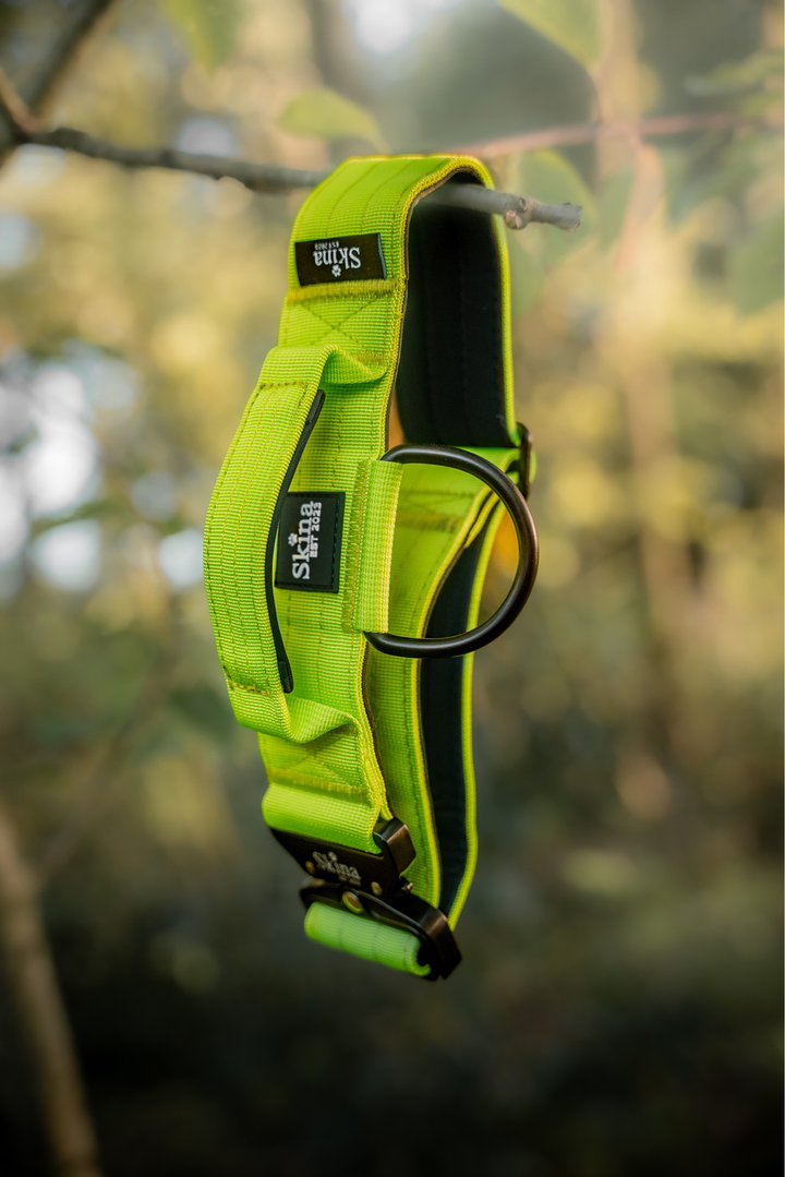 Taktisches Halsband mit Sicherheitsschnalle &amp; Haltegriff „Neon Grün“