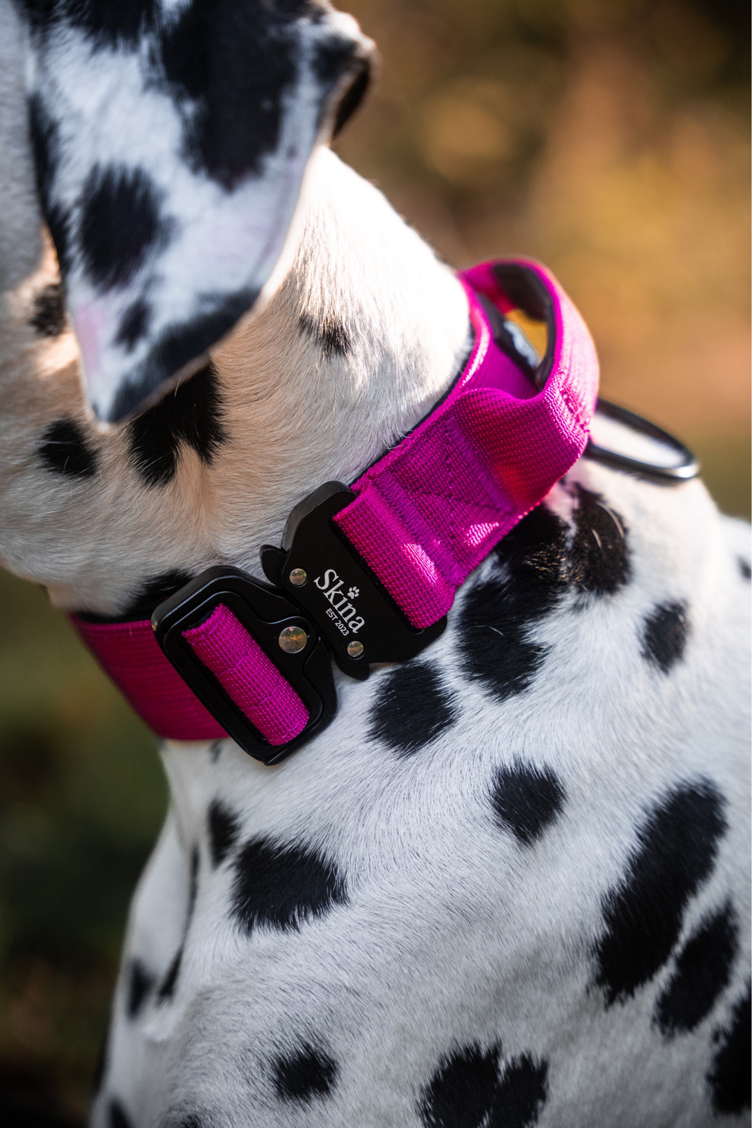 Taktisches Halsband mit Sicherheitsschnalle & Haltegriff „Magenta“