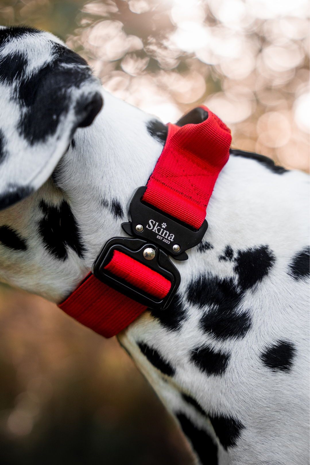 Taktisches Halsband mit Sicherheitsschnalle & Haltegriff „Rot“