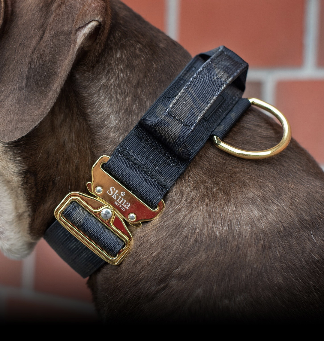 Taktisches Halsband mit Sicherheitsschnalle & Haltegriff „Schwarzes Camouflage“