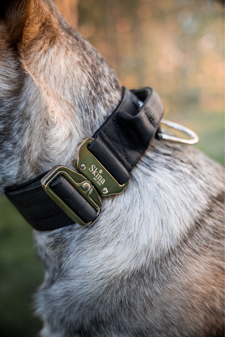 Taktisches Halsband mit Sicherheitsschnalle &amp; Haltegriff „Schwarz“