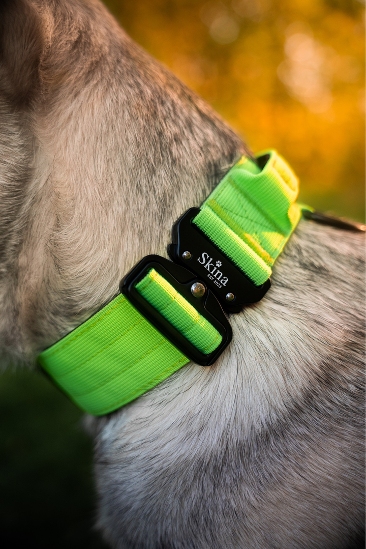 Taktisches Halsband mit Sicherheitsschnalle &amp; Haltegriff „Neon Grün“
