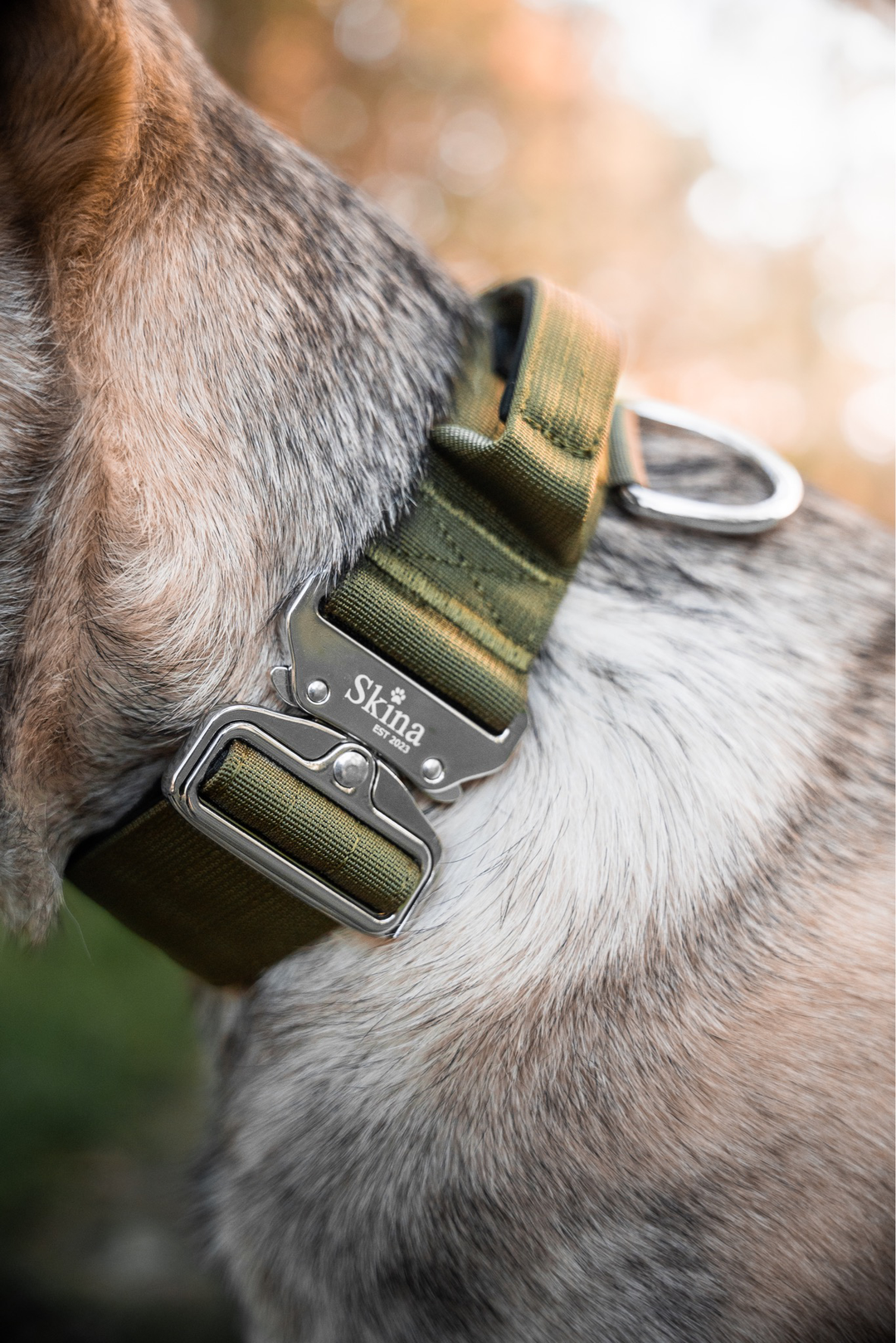 Taktisches Halsband mit Sicherheitsschnalle & Haltegriff „Olive“