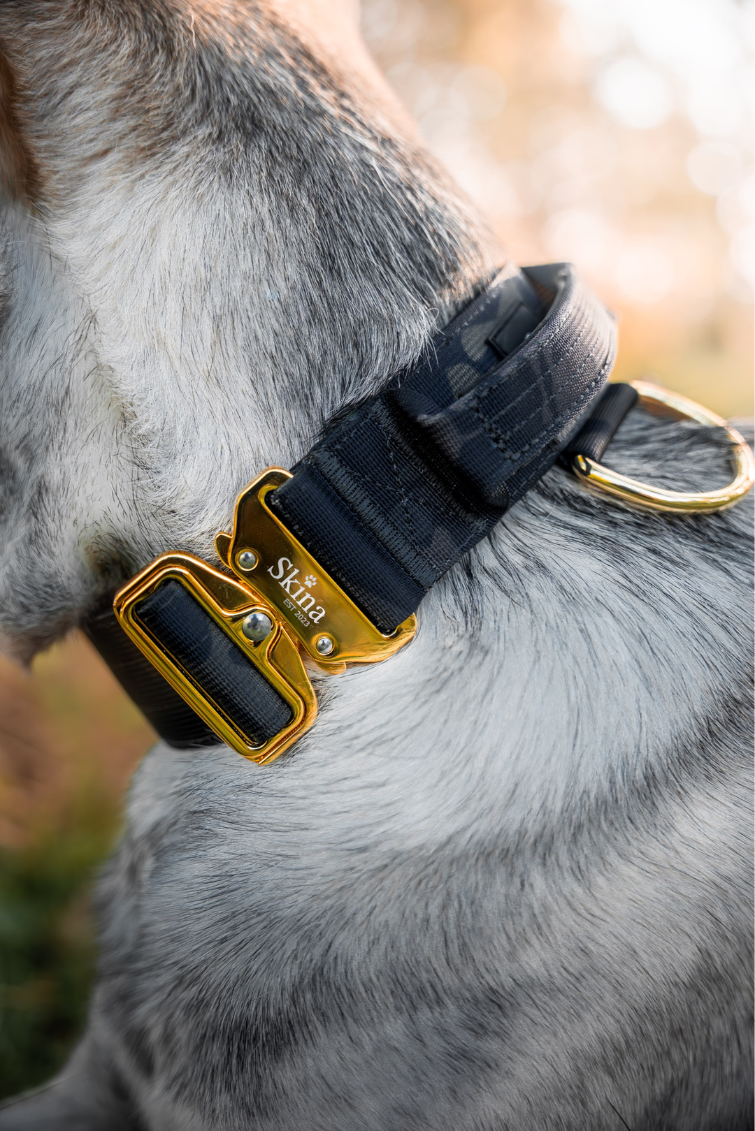Taktisches Halsband mit Sicherheitsschnalle &amp; Haltegriff „Schwarzes Camouflage“