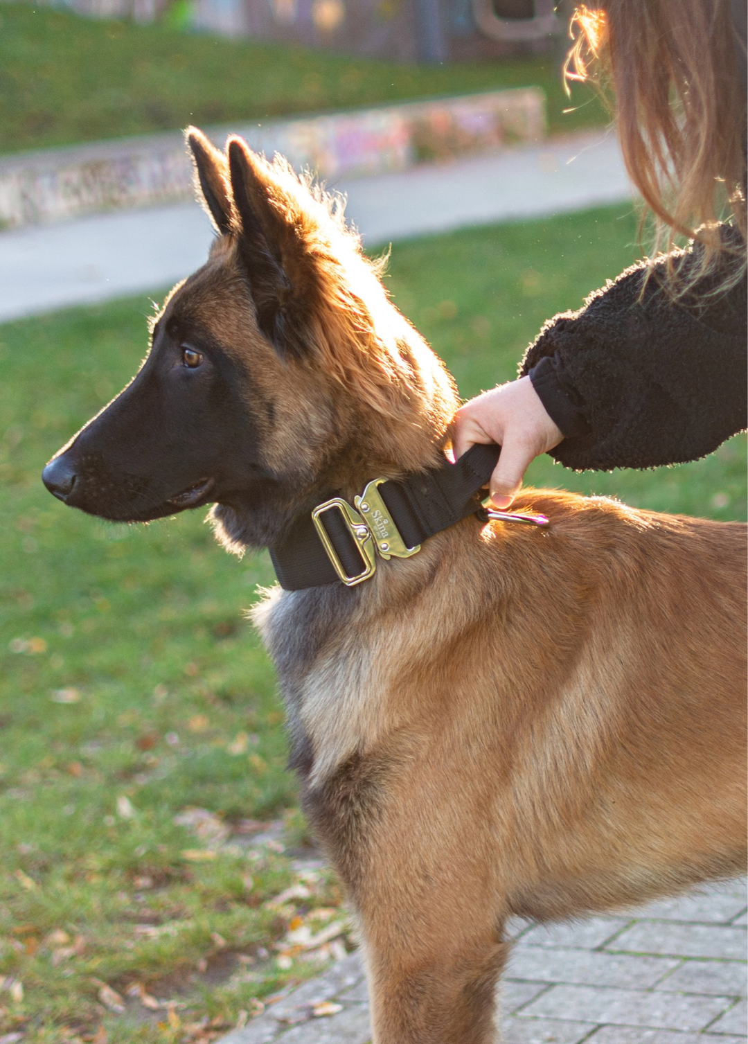 Taktisches Halsband mit Sicherheitsschnalle &amp; Haltegriff „Schwarz“