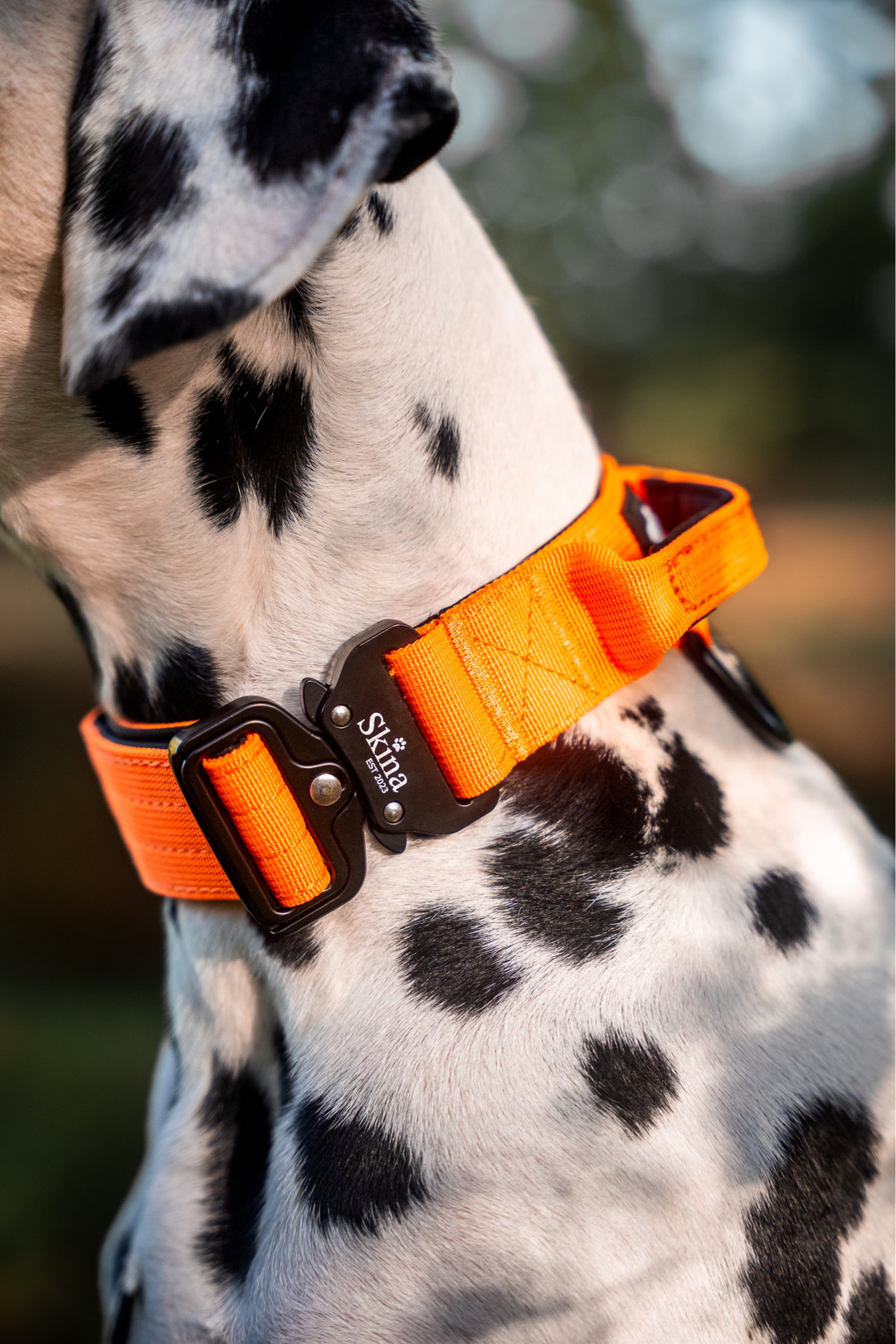 Taktisches Halsband mit Sicherheitsschnalle & Haltegriff „Neon Orange“