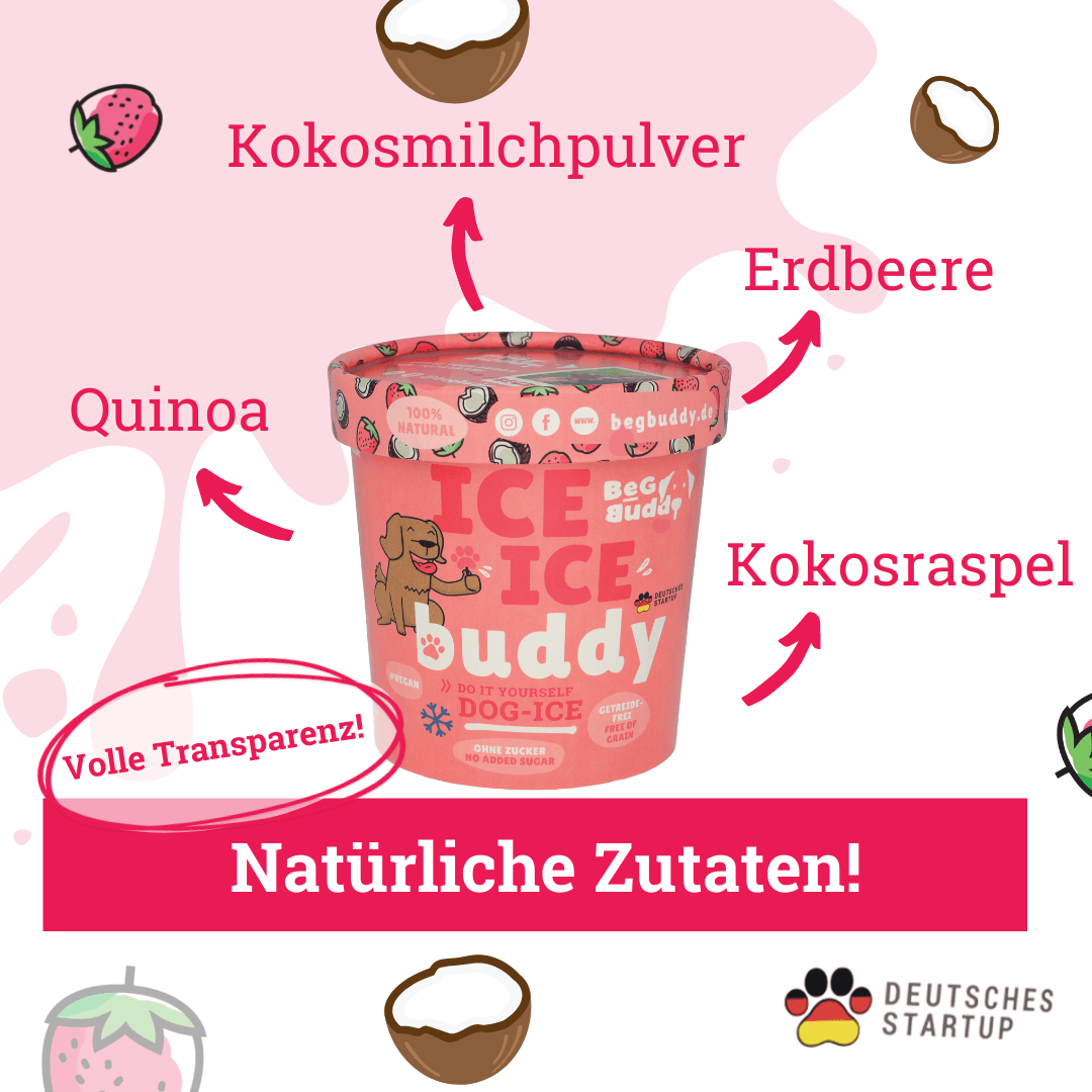 Ice Buddy Erdbeere-Kokos