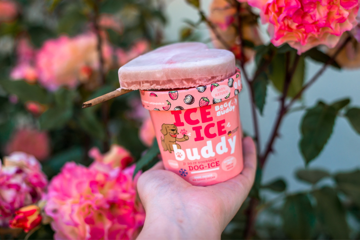 Ice Buddy Erdbeere-Kokos