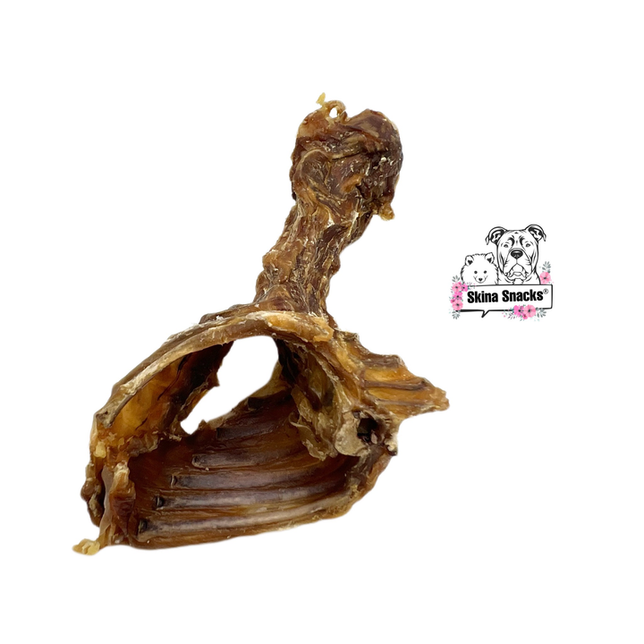 Kaninchen-Karkasse 2 Stück