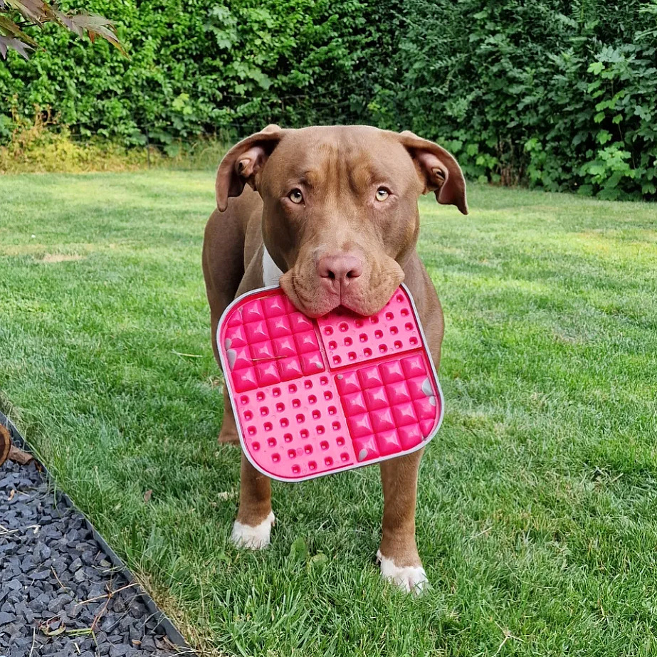 LickiMat Slomo