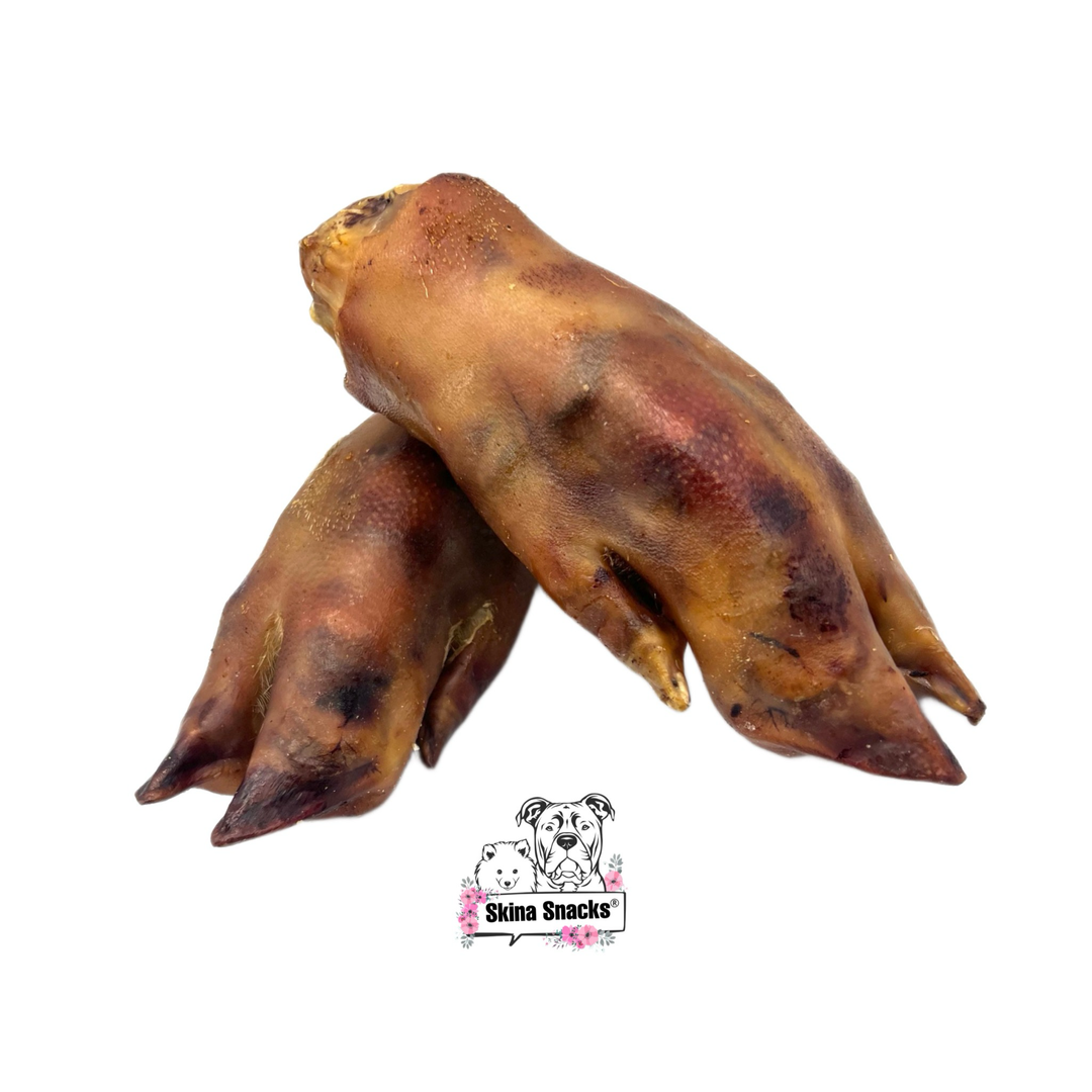 Schweinefuß 2 Stück