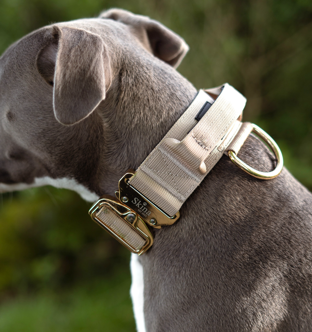 Taktisches Halsband mit Sicherheitsschnalle &amp; Haltegriff „Beige“