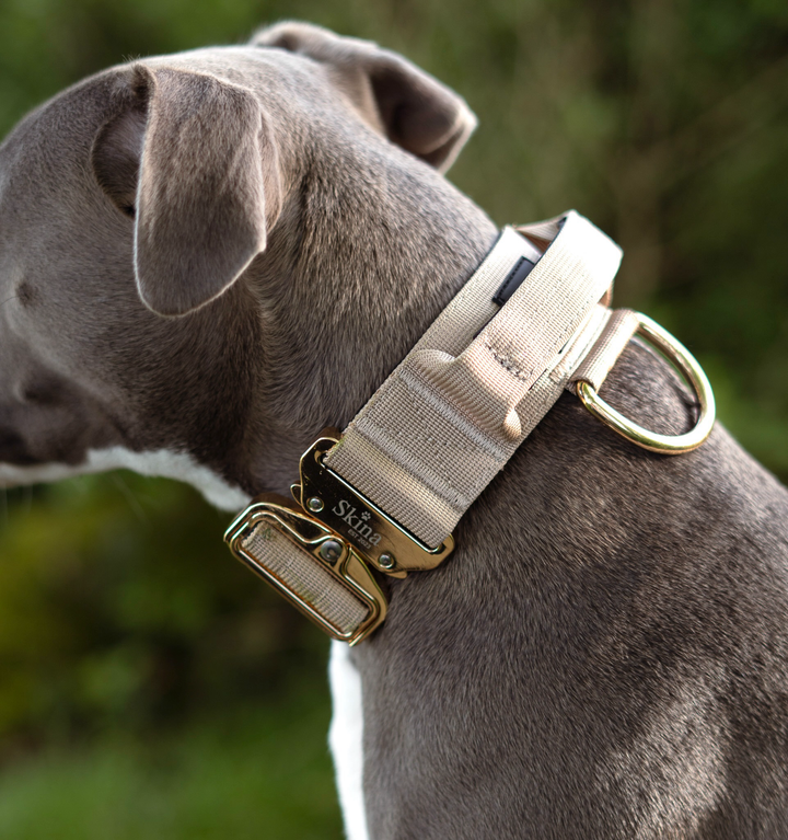 Taktisches Halsband mit Sicherheitsschnalle &amp; Haltegriff „Beige“