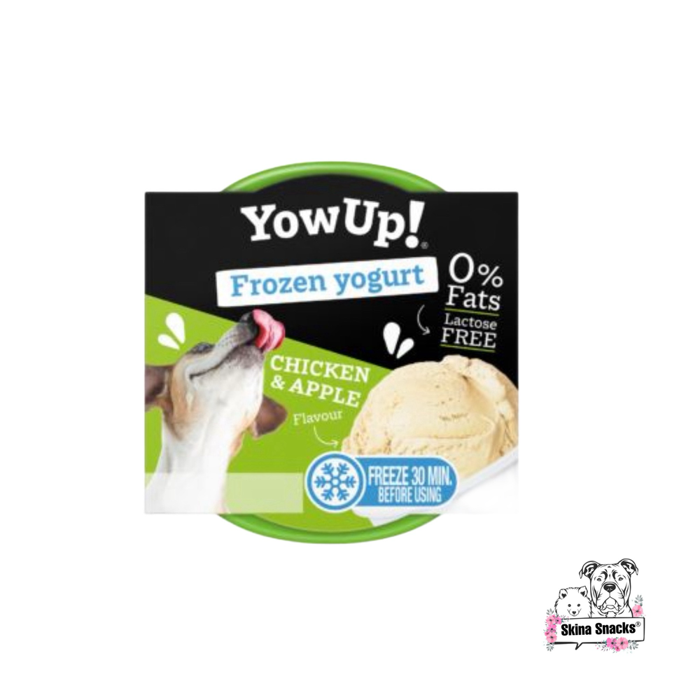 YowUp! Frozen yogurt