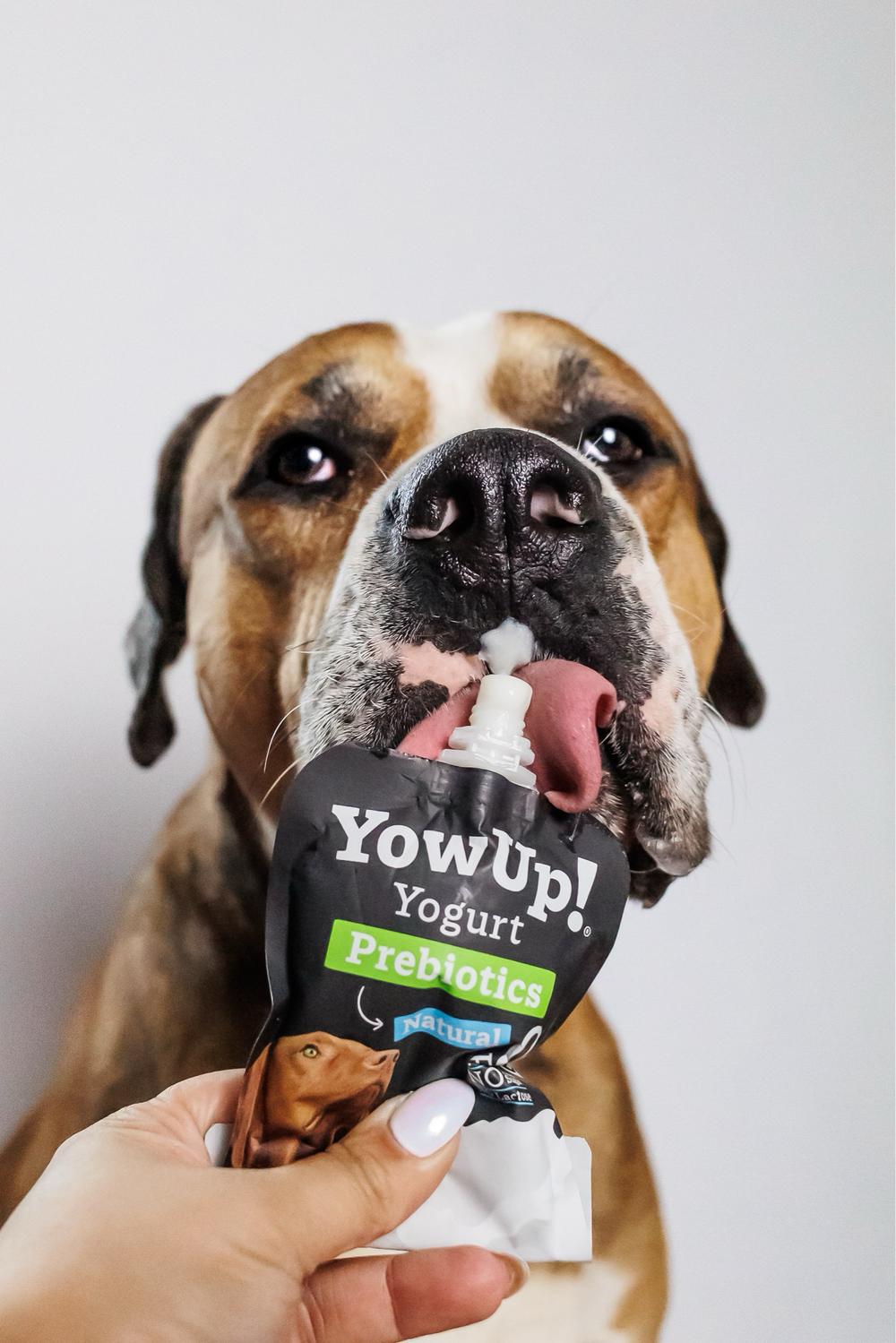 YowUp! Hunde Joghurt Lachs