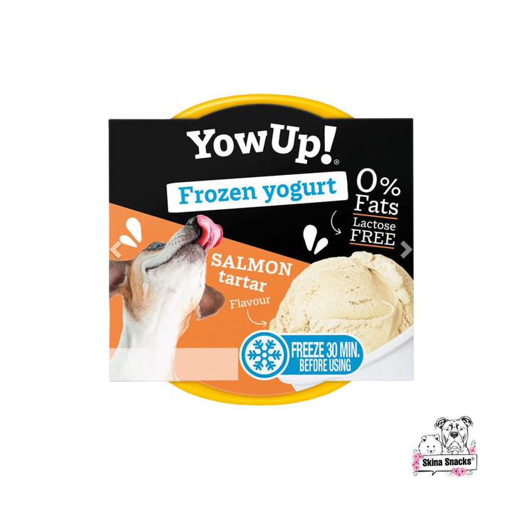 YowUp! Frozen yogurt