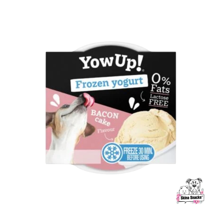 YowUp! Frozen yogurt