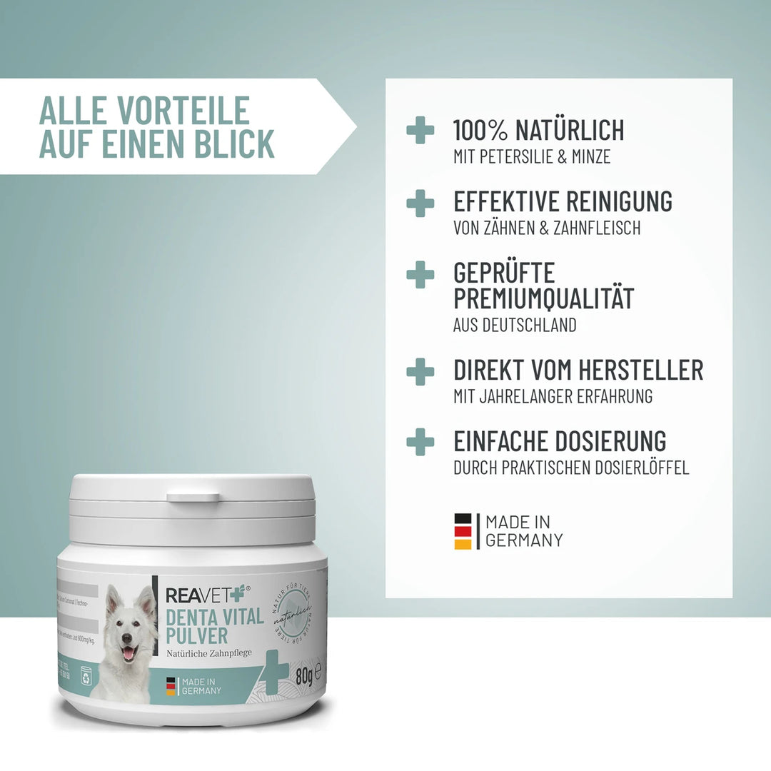 Denta Vital Pulver