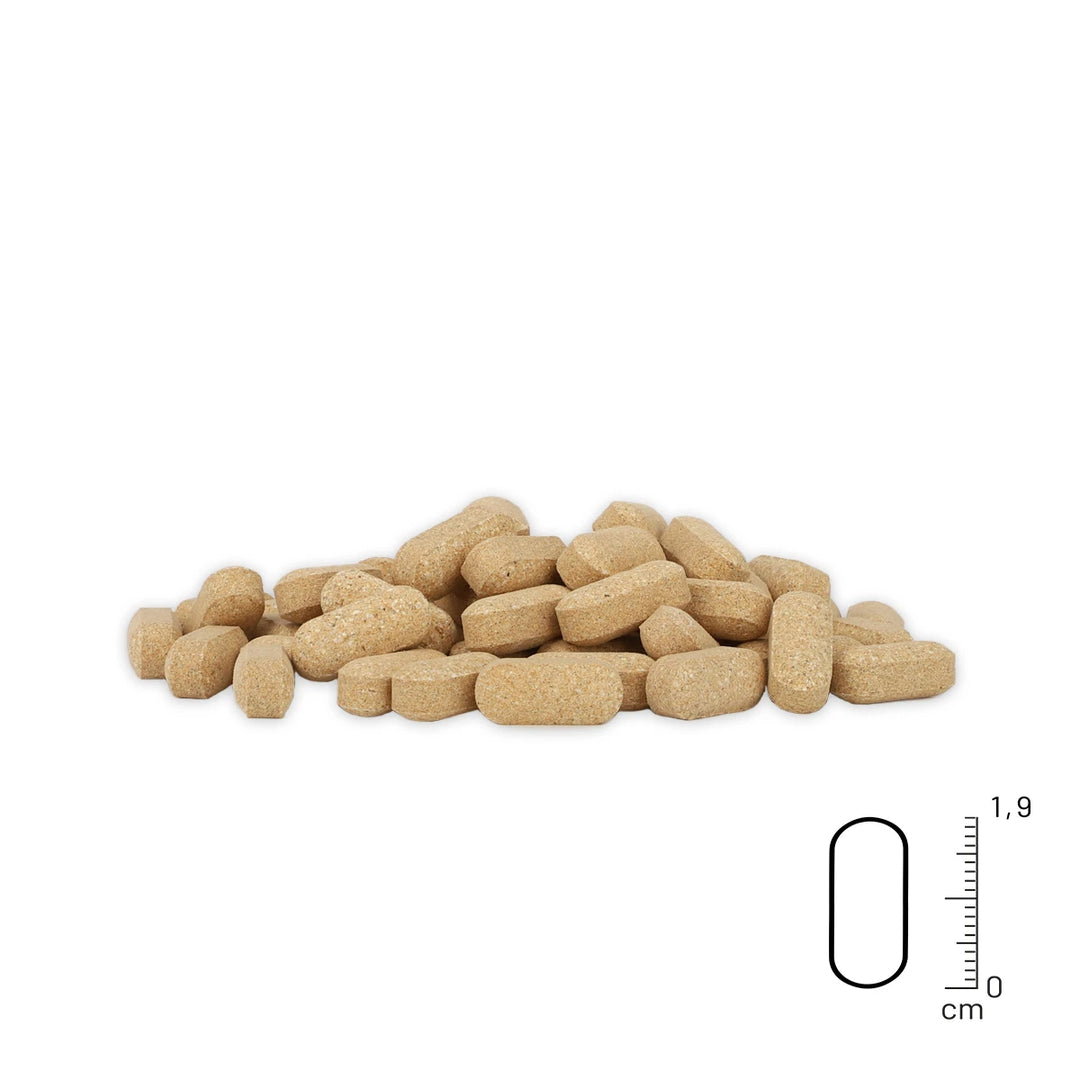 Gelenktabletten Senior 120 Stk