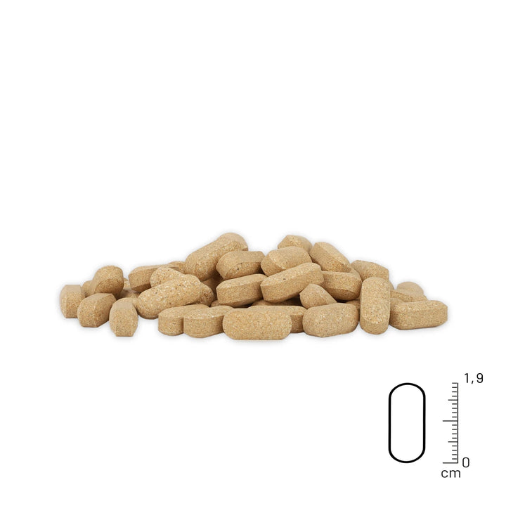 Gelenktabletten Senior 120 Stk