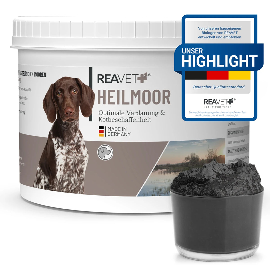 Heilmoor