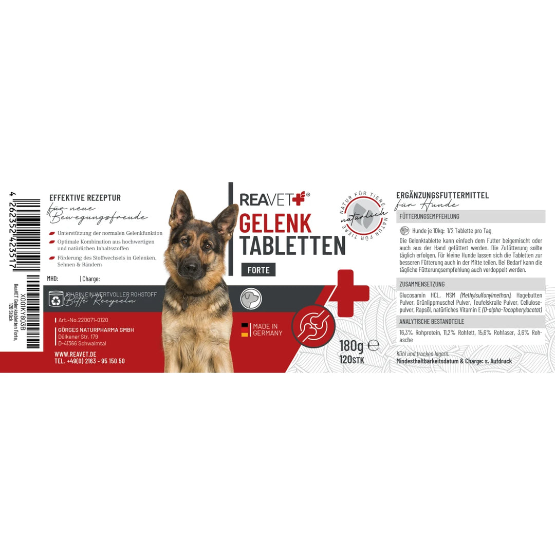 Gelenktabletten Forte