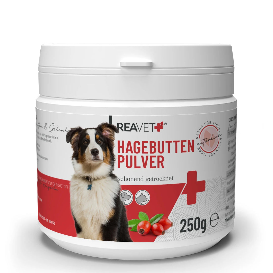 Hagebuttenpulver 250g