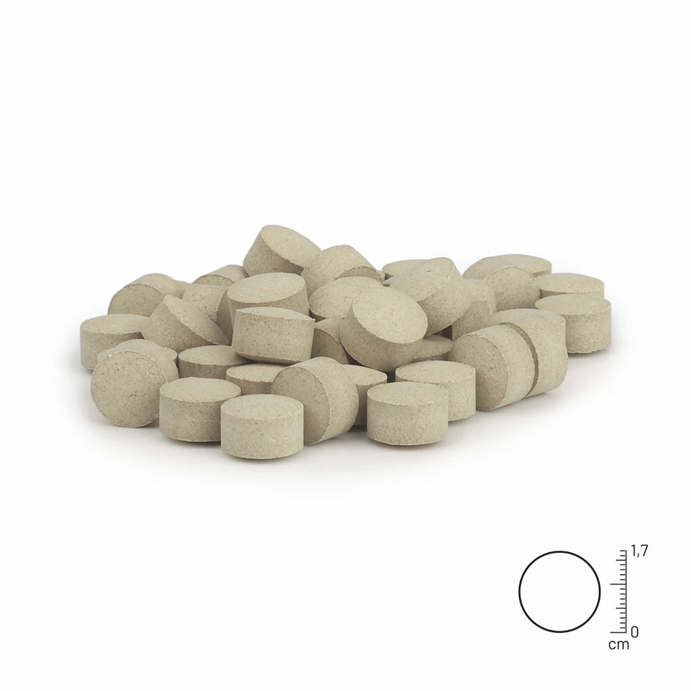 Zink Tabletten 120Stk