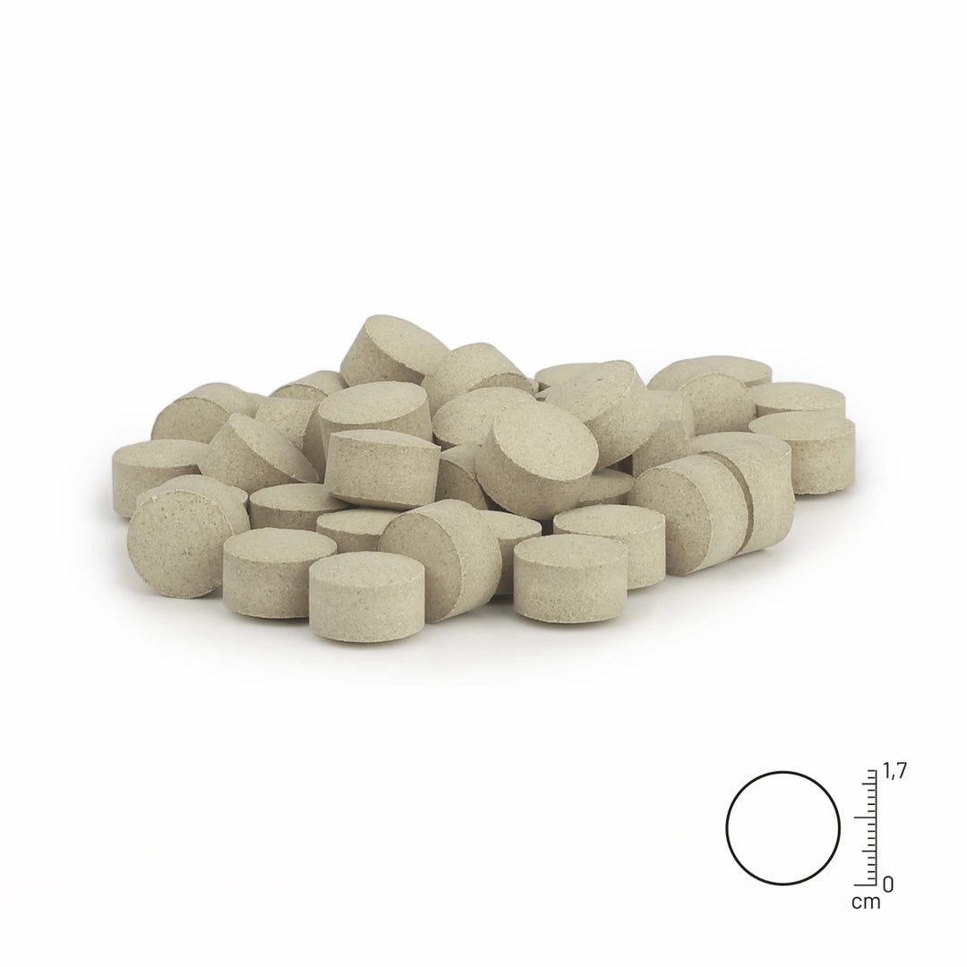 Zink Tabletten 120Stk