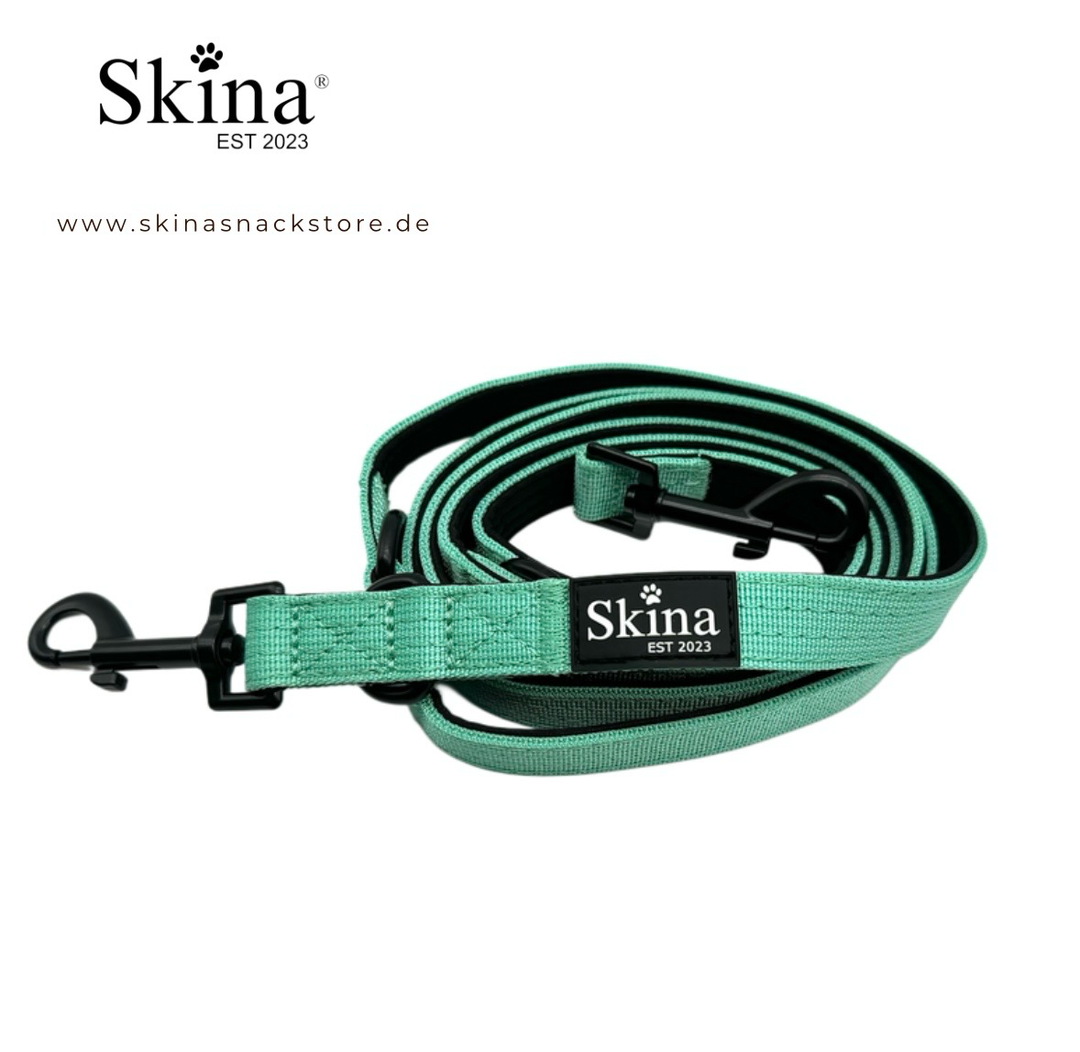 Skina Hundeleine Türkis
