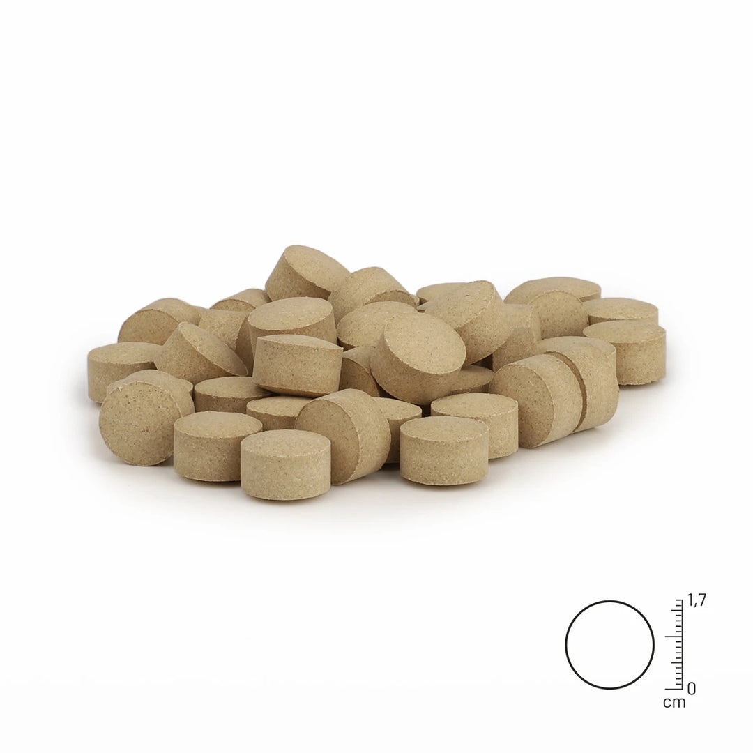 Ruhepol Tabletten 120Stk