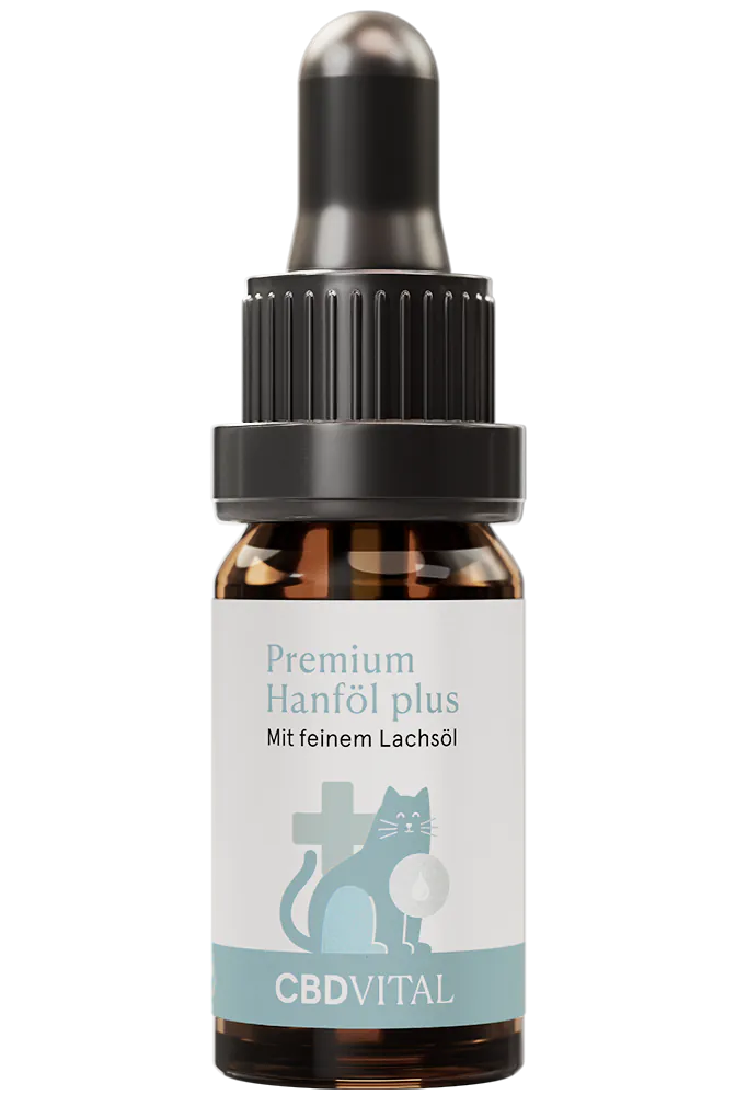 CBD Hanföl für Katzen