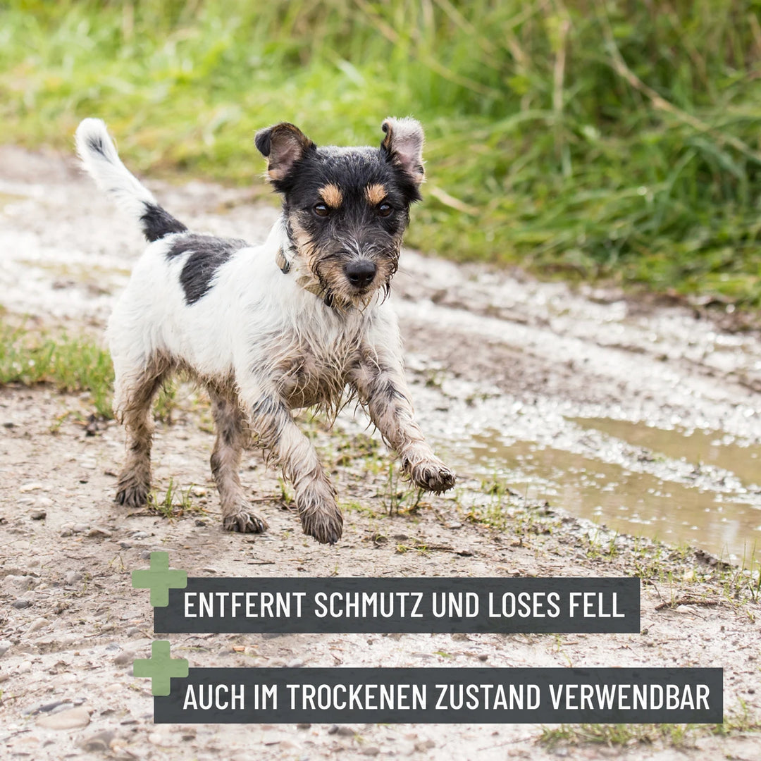Badebürste für hunde