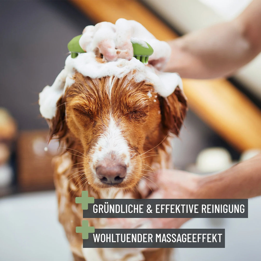 Badebürste für hunde