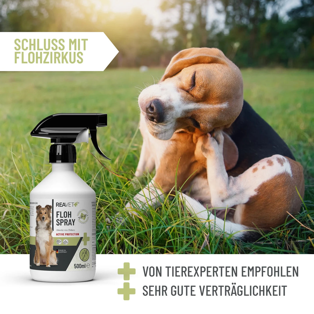 Flohspray 500ml