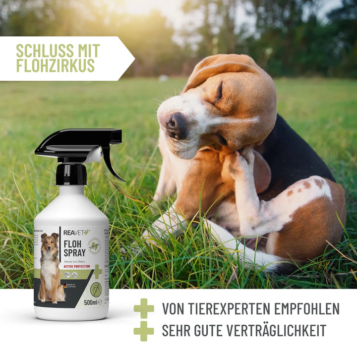 Flohspray 500ml