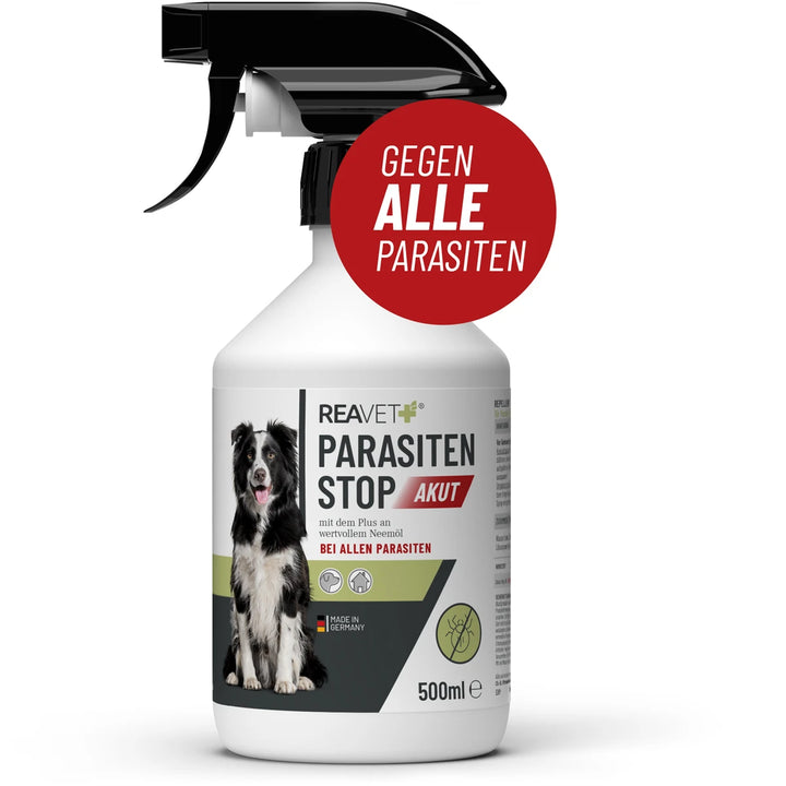 Parasiten Stop AKUT 500ml