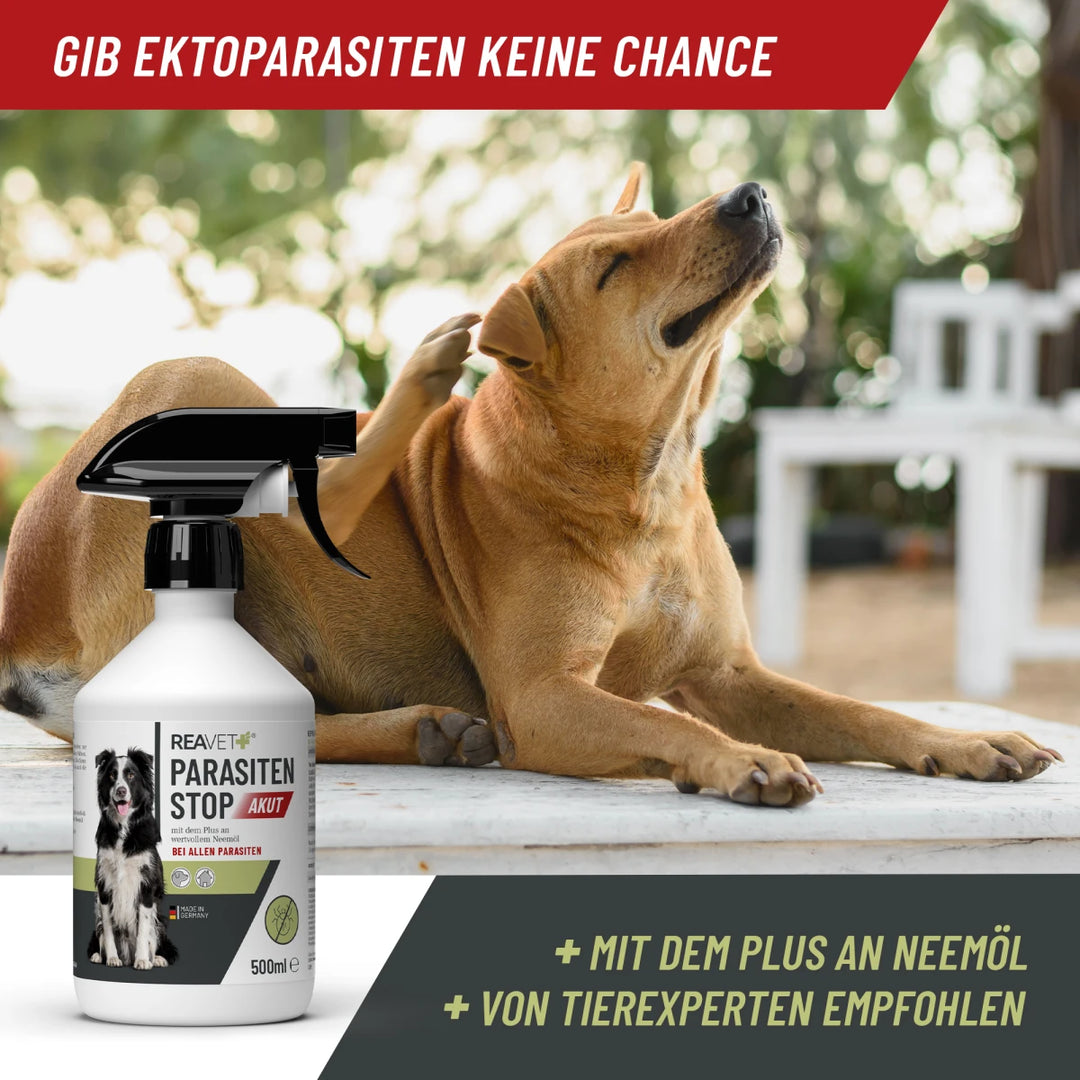 Parasiten Stop AKUT 500ml