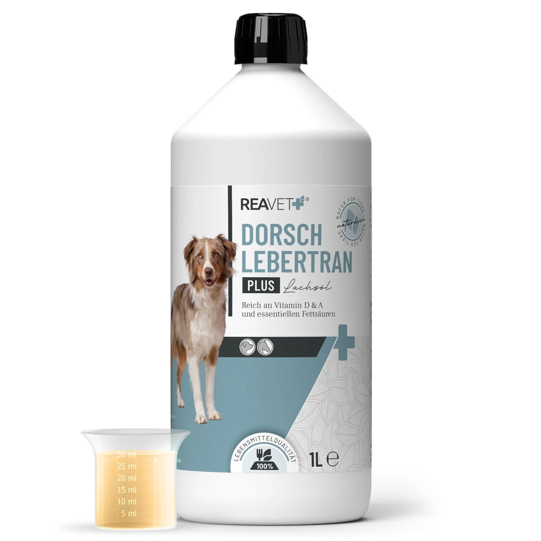 Dorschlebertran Plus 1L