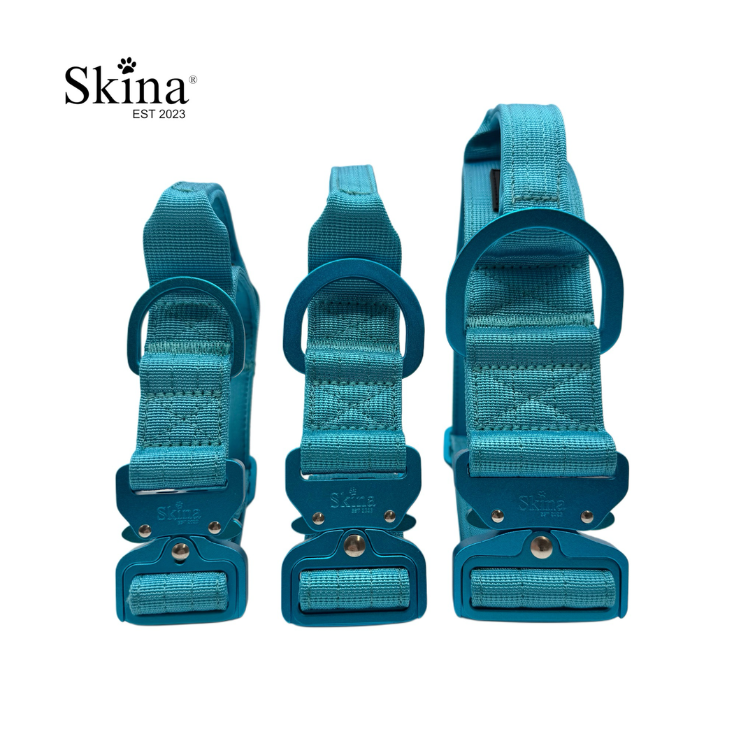 Ultra leichtes Halsband mit Sicherheitsschnalle &amp; Haltegriff "Blau"