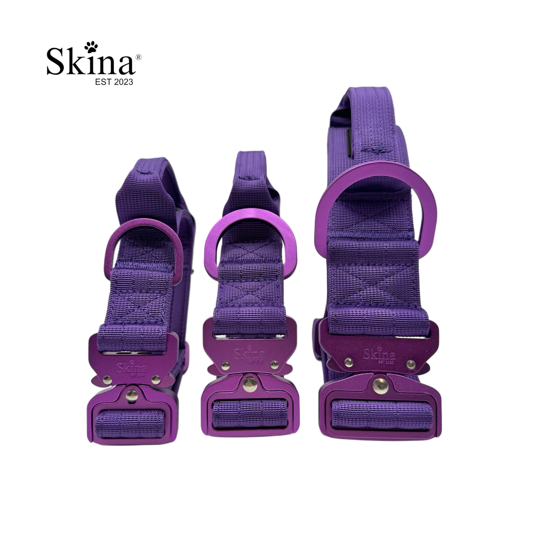 Ultra leichtes Halsband mit Sicherheitsschnalle &amp; Haltegriff "Lila"